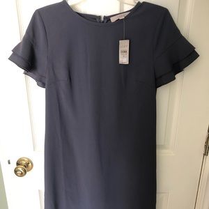 NWT Loft Shift Dress with Ruffle Sleeves